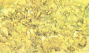 Champ de fleurs jaunes 1889