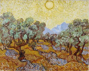 Olive Trees With Yellow Sky And Sun