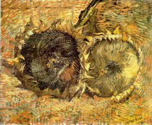 Deux tournesols coupés 1887