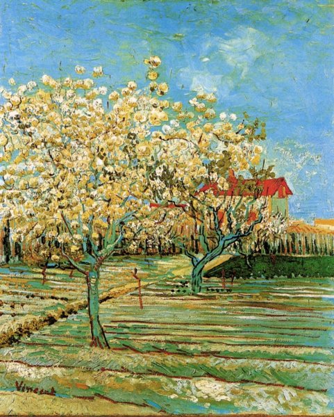 Orchard In Blossom II