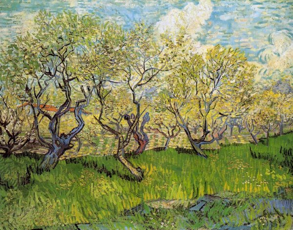 Orchard in Blossom I