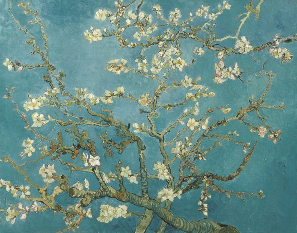 Branches with Almond Blossom