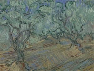 Olive Grove 3