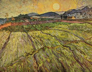 Landscape with plowed fields