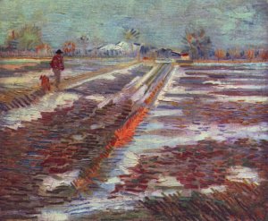 Snow-covered fields in Arles