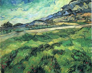 Green Wheat Field With Cypress