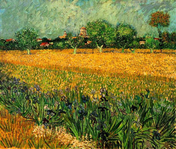 View Of Arles With Irises In The Foreground