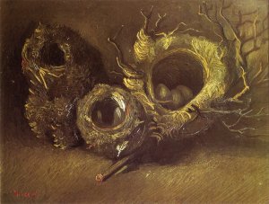 Still Life with Three Birds' Nests