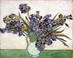 Irises I