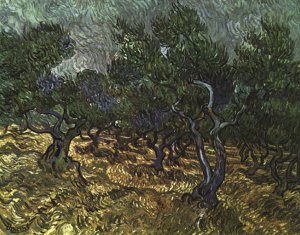 The Olive Grove