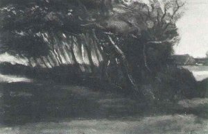 Landscape With Windblown Trees