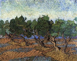 Olive Grove III