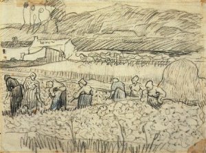 Women Working in Wheat Field