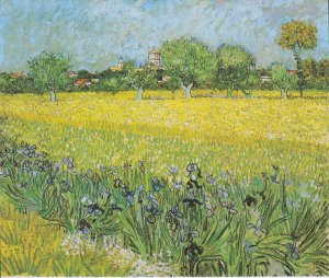 View Of Arles With Iris 1889