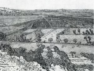 La Crau Seen from Montmajour