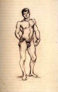 Standing Male Nude Seen from the Front