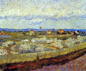 La Crau With Peach Trees In Blossom