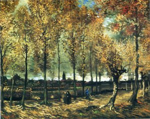 Lane With Poplars