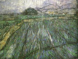 Wheat Field In Rain